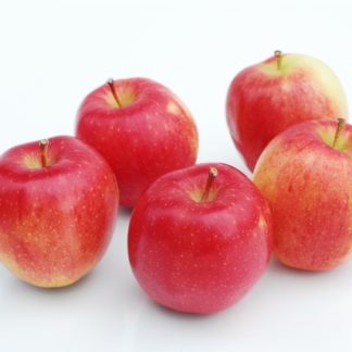 Apples, Honeycrisp