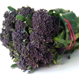 Broccoli, Purple Sprouting - NW