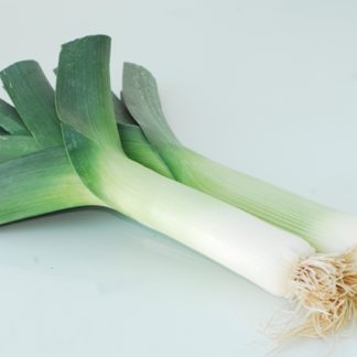 Leek