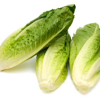 Lettuce, Romaine Hearts, Bag of 3
