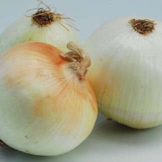 Onions, Sweet
