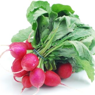 radishes