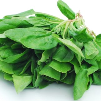 Spinach, Bunch - NW