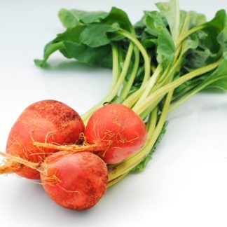 Beets, Golden