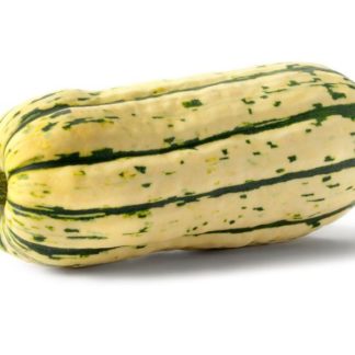 Squash, Delicata