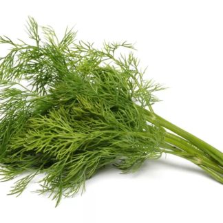 Herbs, Dill