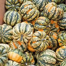 Squash, Carnival - Local