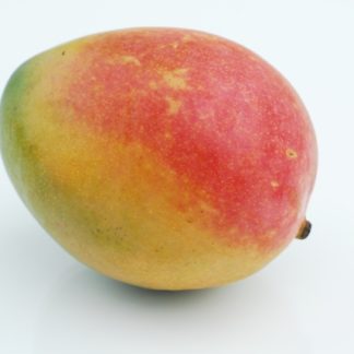 Mango, Tommy Atkin