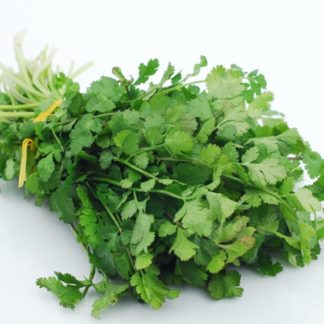 Herbs, Cilantro