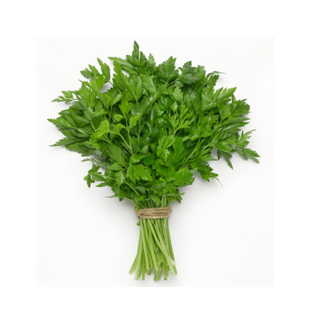 Herbs, Italian Parsley