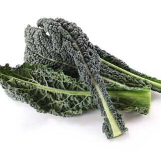 Kale, Italian (Lacinato)