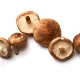 Mushrooms, Petite Shiitake