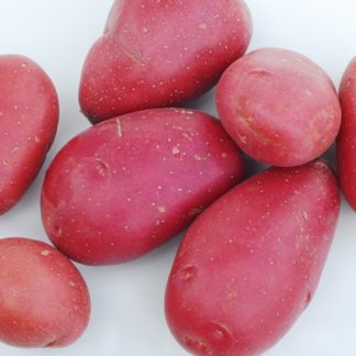 Potatoes, Red