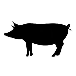 Pork Share Deposit - June 2026