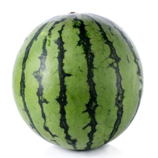 Watermelon, Mini