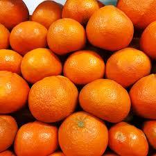 Mandarins, Tango
