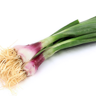 Onions, Red Spring