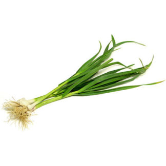 Green Garlic - 0.25 lb.