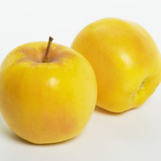 Apples, Opal