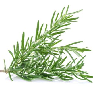Herbs, Rosemary