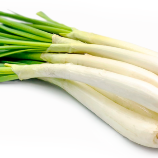 Calcot Onions - NW