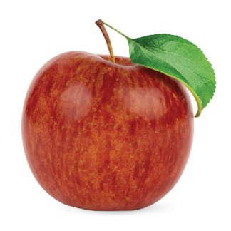 Apple, Kiku